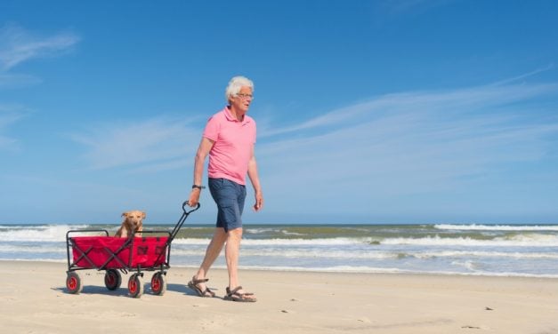 De 3 vigtigste ting du skal have med på en underholdende strandtur